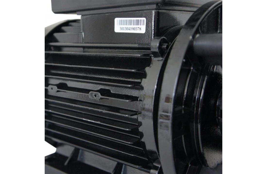 LX LP250 Massage Pomp Jacuzzi 1,85 KW - Afbeelding 4