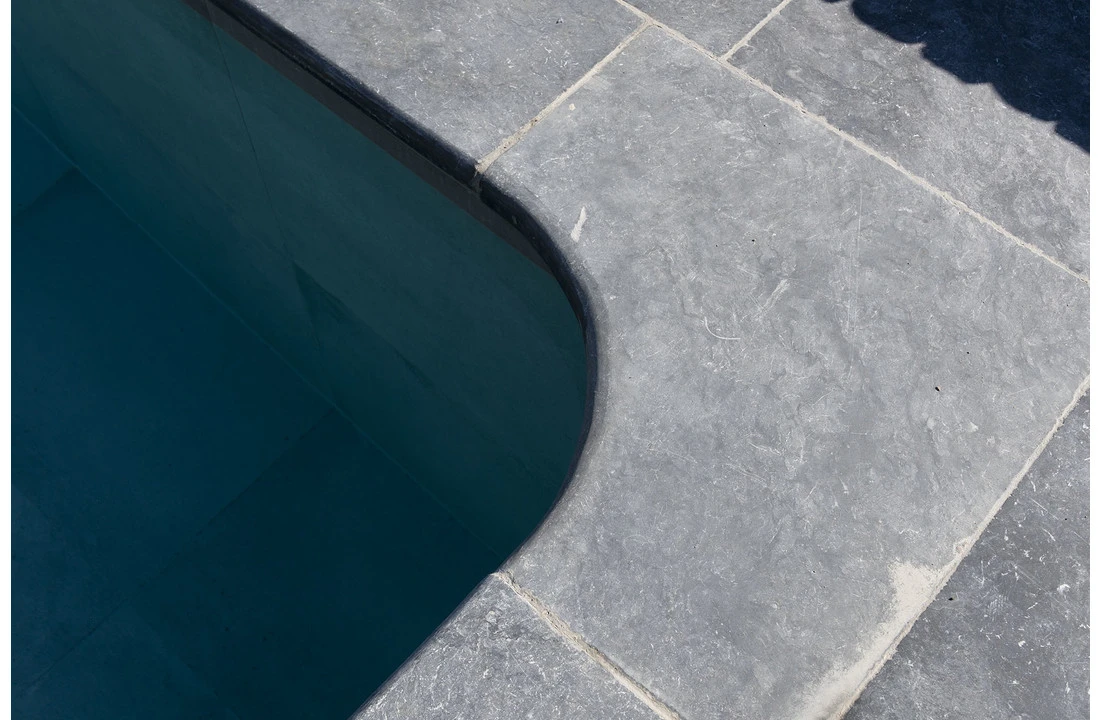 Terato Buitenhoek Asian Blue Afgeronde Neus - Afbeelding 4